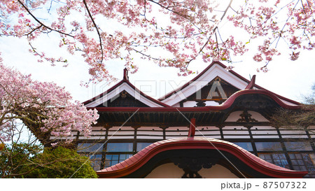 一面満開の桜で埋め尽くされる天下第一の高遠城址公園のサクラ 一面満開の桜で埋め尽くされる天下第一の高遠城址公園のサクラ 87507322
