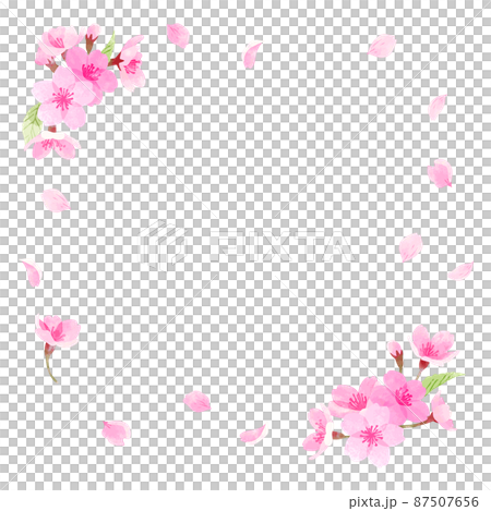 手描き水彩 桜のフレーム 正方形 手描き水彩 桜のフレーム 正方形 87507656