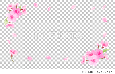 手描き水彩 桜のフレーム 横長 手描き水彩 桜のフレーム 横長 87507657