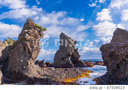 （静岡県）南伊豆　逢ヶ浜（おうのはま）の奇岩・エビ穴 87509023