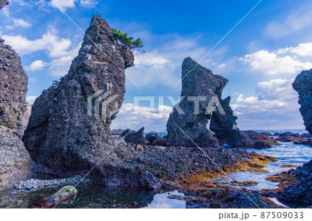 （静岡県）南伊豆　逢ヶ浜（おうのはま）の奇岩・エビ穴 87509033