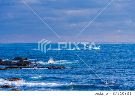 (静岡県)南伊豆 逢ヶ浜(おうのはま)沖を航行する船 (静岡県)南伊豆 逢ヶ浜(おうのはま)沖を航行する船 87510331
