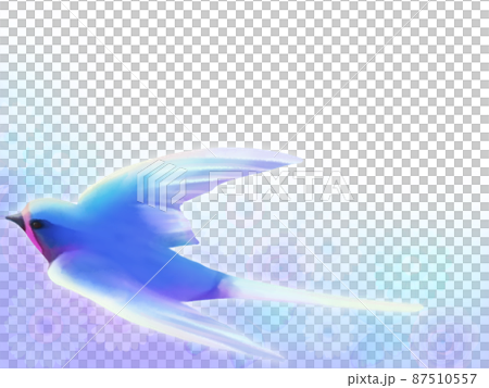 水彩飛燕架（童話花卉背景） 87510557