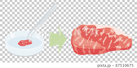 培養肉のイラスト 87510675