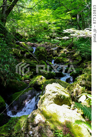 御嶽山 御嶽山 87510835