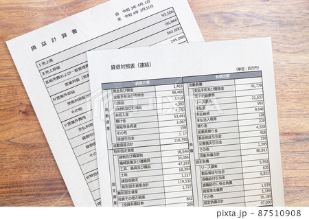財務諸表、貸借対照表、損益計算書（アップ） 87510908