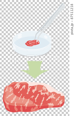 培養肉のイラスト 87511218