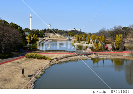 早春のあいち健康プラザ 大府運動公園 早春のあいち健康プラザ 大府運動公園 87511635
