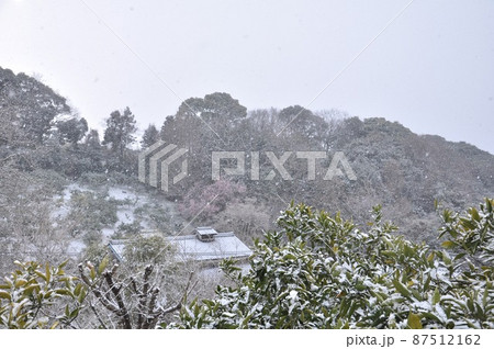雪の果樹園 雪の果樹園 87512162
