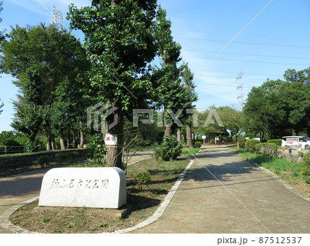 夏の青葉が茂る柏市の柏ふるさと公園 87512537