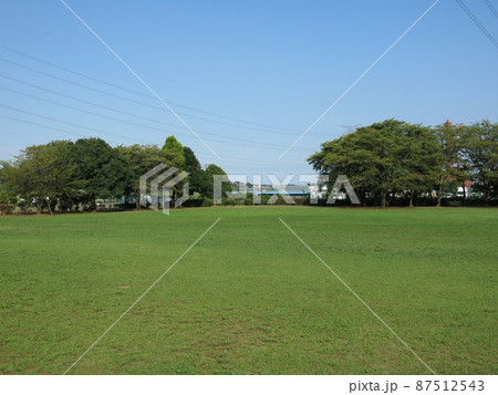夏の青葉が茂る柏市の柏ふるさと公園（芝生広場） 87512543