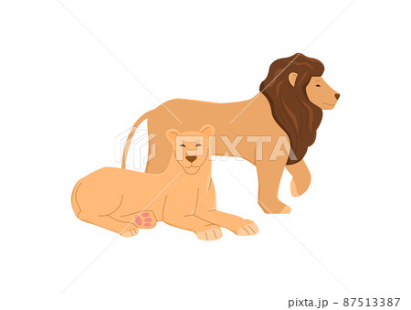 Family or pride with male and female lions, vector illustration isolated. Family or pride with male and female lions, vector illustration isolated. 87513387