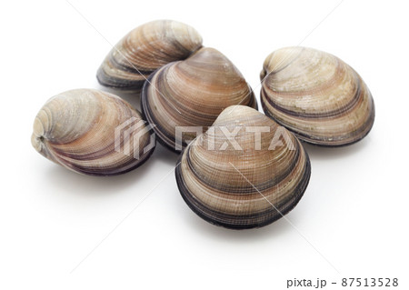 オキシジミ 87513528