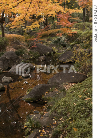 東京 大田黒公園 秋の紅葉風景 東京 大田黒公園 秋の紅葉風景 87514227