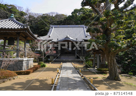 3月　藤沢201本蓮寺 87514548