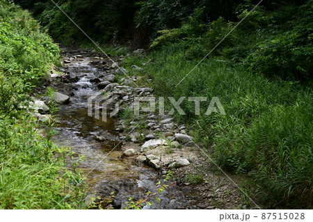 夏の日に緑が鬱蒼と茂っている冷たい水が流れている川 87515028