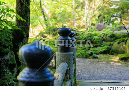 緑多き庭園 87515105