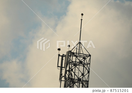 コウノトリ 2021 87515201