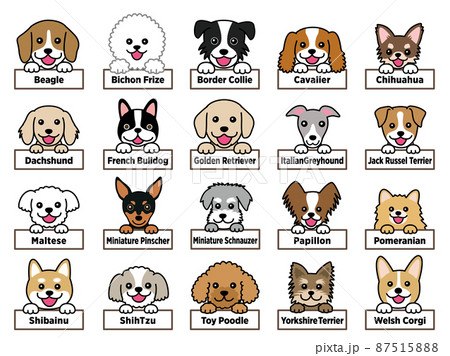 犬種のプレートを持ったいろいろな犬達 87515888