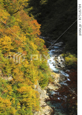 紅葉の黒部峡谷 欅平 祖母谷温泉 紅葉の黒部峡谷 欅平 祖母谷温泉 87516784
