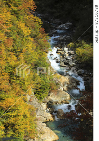 紅葉の黒部峡谷　欅平　祖母谷温泉 87516789