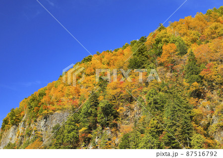 紅葉の黒部峡谷 欅平 祖母谷温泉 紅葉の黒部峡谷 欅平 祖母谷温泉 87516792