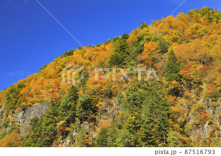 紅葉の黒部峡谷　欅平　祖母谷温泉 87516793