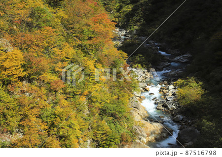 紅葉の黒部峡谷　欅平　祖母谷温泉 87516798
