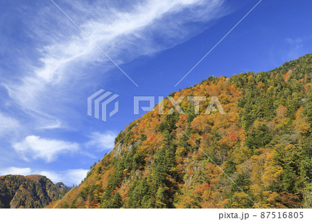 紅葉の黒部峡谷　欅平　祖母谷温泉 87516805