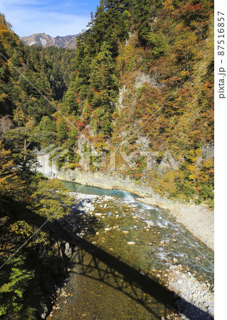 紅葉の黒部峡谷　欅平　祖母谷温泉 87516857