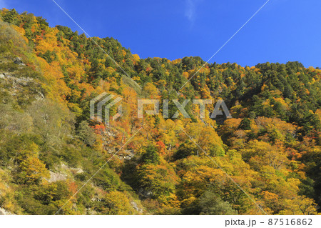紅葉の黒部峡谷　欅平　祖母谷温泉 87516862