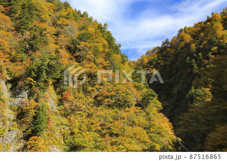 紅葉の黒部峡谷　欅平　祖母谷温泉 87516865