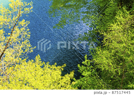 梓湖畔の新緑 梓湖畔の新緑 87517445