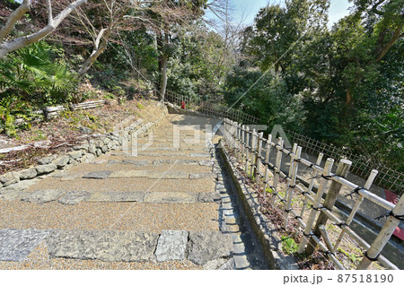 世界遺産 国宝姫路城 特別公開「トの櫓・搦手周辺」 世界遺産 国宝姫路城 特別公開「トの櫓・搦手周辺」 87518190