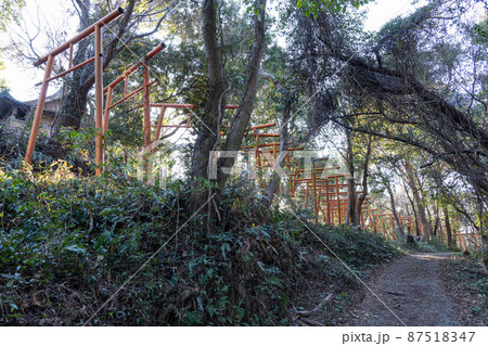 山ノ大神社の鳥居群 山ノ大神社の鳥居群 87518347