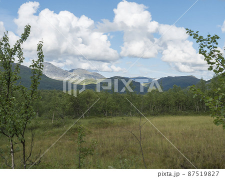 Beatiful northern landscape artic landscape, tundra in Swedish Lapland with green hills and mountains and birch forest at Padjelantaleden hiking trail. Summer day, blue sky, white clouds Beatiful northern landscape artic landscape, tundra in Swedish Lapland with green hills and mountains and birch forest at Padjelantaleden hiking trail. Summer day, blue sky, white clouds 87519827