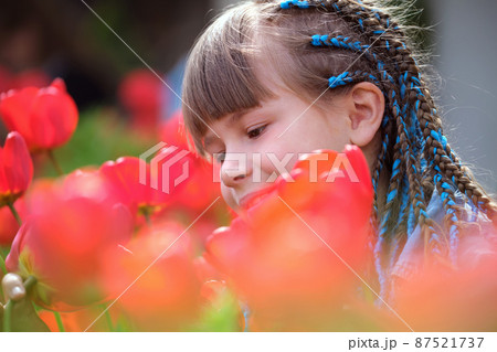 Happy child girl enjoying sweet smell of red tulip flowers in summer garden Happy child girl enjoying sweet smell of red tulip flowers in summer garden 87521737