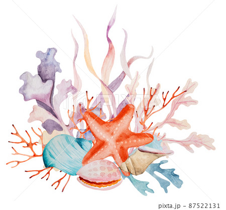 Watercolor arrangement made from seaweeds, seashells, corals and starfishes. Illustration bouquet 87522131