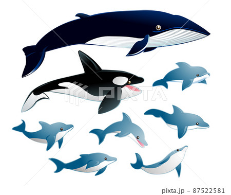 海の仲間たち（イルカ・シャチ・クジラ）のイラスト素材 [87522581