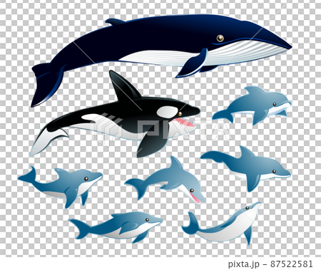 海の仲間たち（イルカ・シャチ・クジラ）のイラスト素材 [87522581