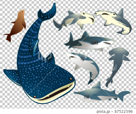 Sea friends (whale shark, hammerhead shark, sand tiger shark) Sea friends (whale shark, hammerhead shark, sand tiger shark) 87522596