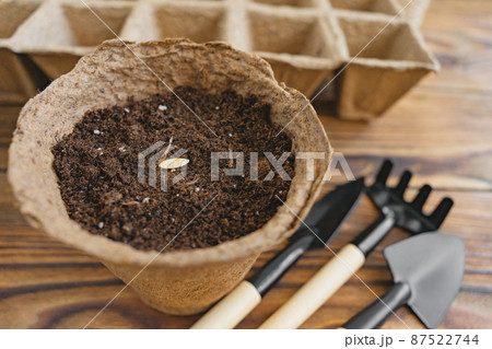 Planting cucumber seeds into peat pot on table. Tools for home gardening. Shallow depth of field. Planting cucumber seeds into peat pot on table. Tools for home gardening. Shallow depth of field. 87522744