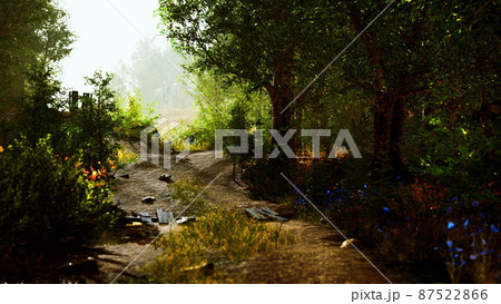 Landscape with wooden fence grassy meadow and path 87522866