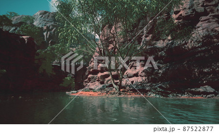 Panoramic view of Colorado River Panoramic view of Colorado River 87522877