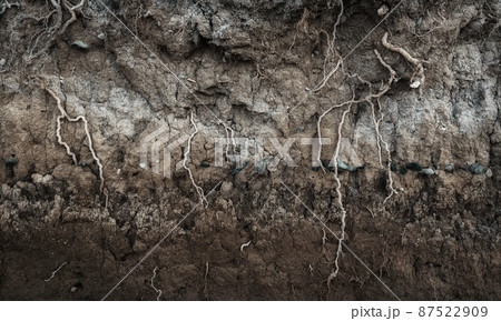 Earth section with different layers of soil, rocks and plant roots 87522909