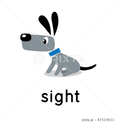 The dog stands and looks. Five senses. Sight 87523631