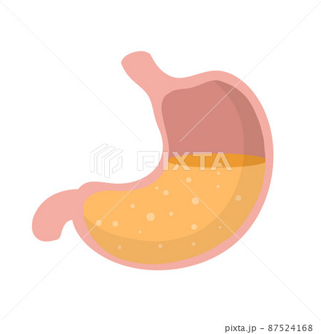 Human stomach. Internal organ of body. Bubbles in acid. X-ray of belly. Human stomach. Internal organ of body. Bubbles in acid. X-ray of belly. 87524168
