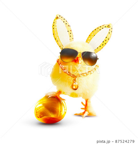 Funny cute baby chick with sunglasses and egg. Funny cute baby chick with sunglasses and egg. 87524279