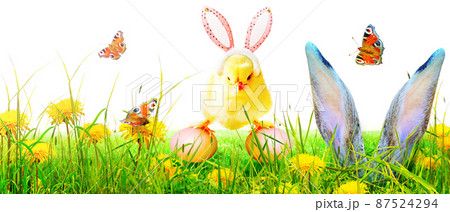 Little cute newborn baby chick for Easter celebration. 87524294