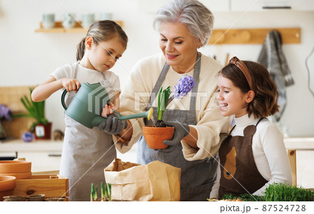 Granny and girls transplanting flowers at home Granny and girls transplanting flowers at home 87524728